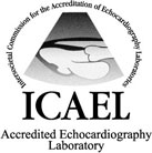 icon-ICAEL